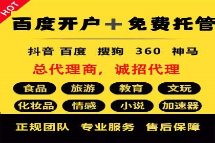 行业领先的SEM投放效果案例解析